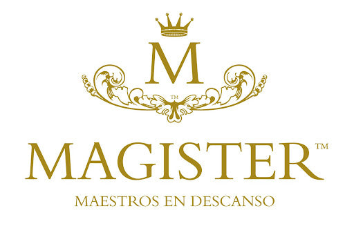brand-magister