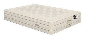 Poligón Infinity, OCU