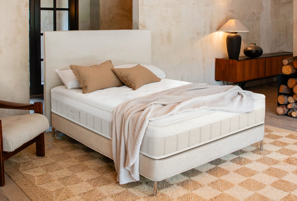 Lotus-nuevo-destacada